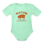 Bacon - Organic Short Sleeve Baby Bodysuit - light mint